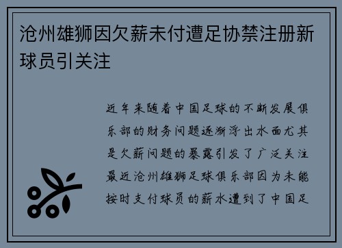 沧州雄狮因欠薪未付遭足协禁注册新球员引关注