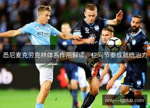 悉尼麦克劳克林体系作用解读,栏间节奏成就统治力 悉尼麦克劳克林体系作用解读,栏间节奏成就统治力
