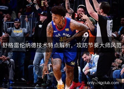 舒格雷伦纳德技术特点解析,攻防节奏大师风范 舒格雷伦纳德技术特点解析,攻防节奏大师风范